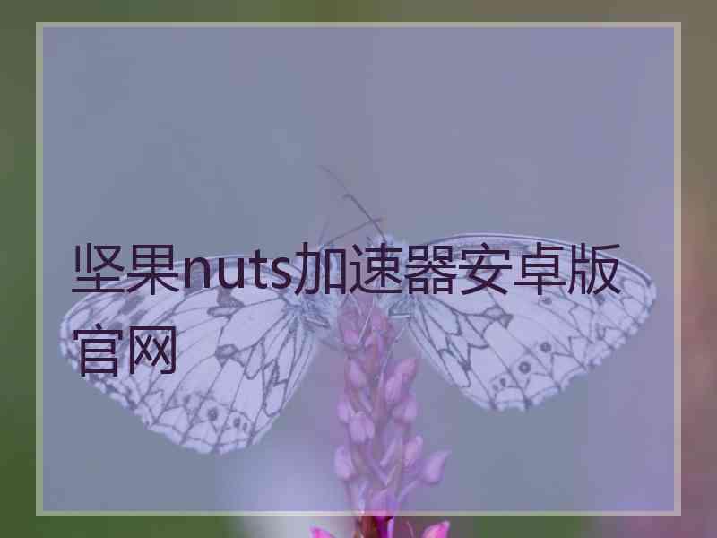 坚果nuts加速器安卓版官网