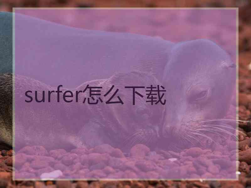 surfer怎么下载