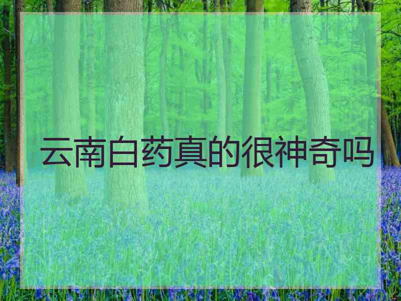 云南白药真的很神奇吗