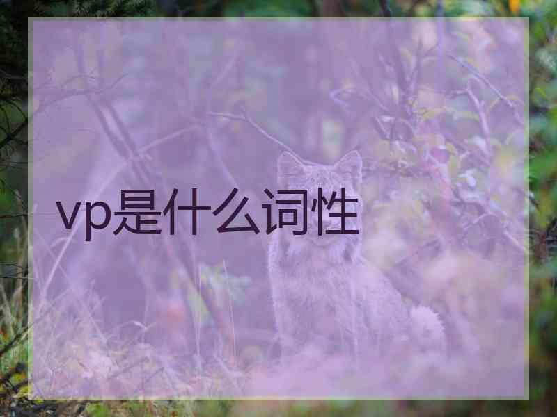 vp是什么词性