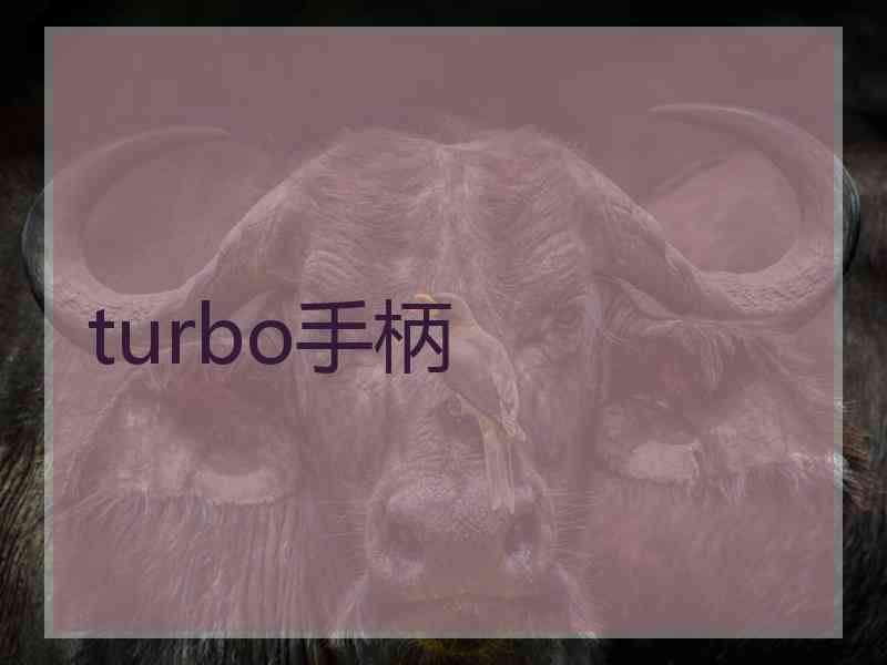 turbo手柄