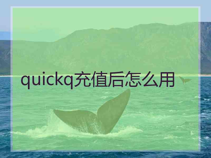 quickq充值后怎么用