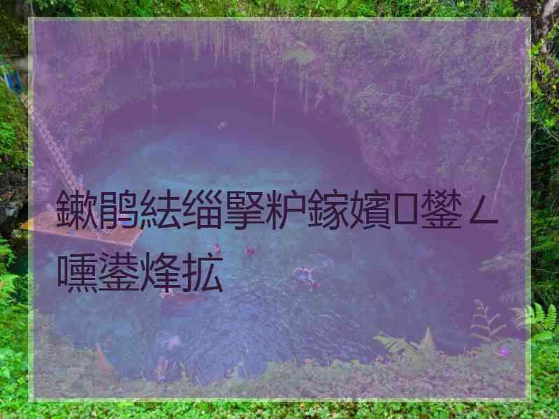 鏉鹃紶缁掔粐鎵嬪鐢ㄥ嚑鍙烽拡