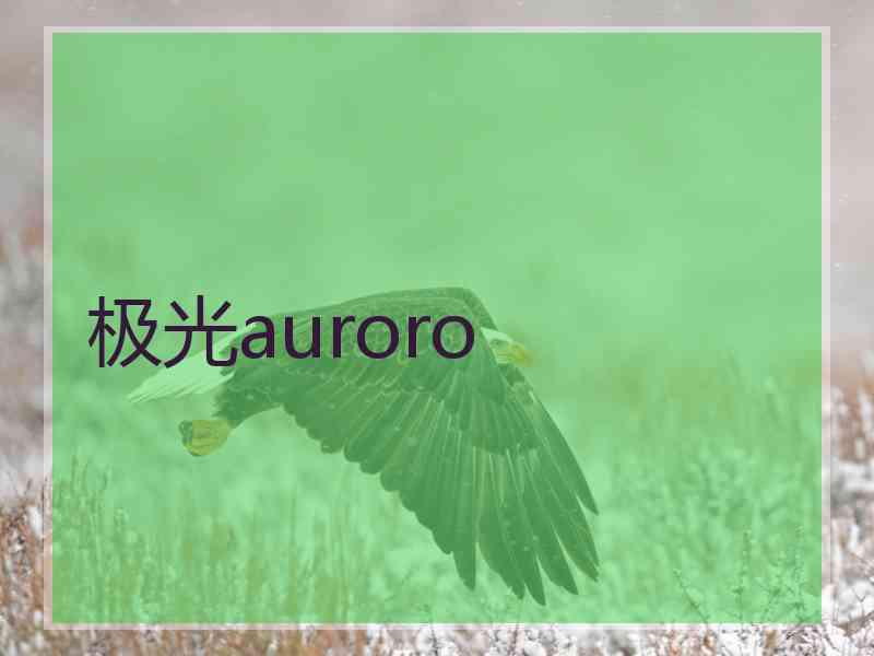 极光auroro