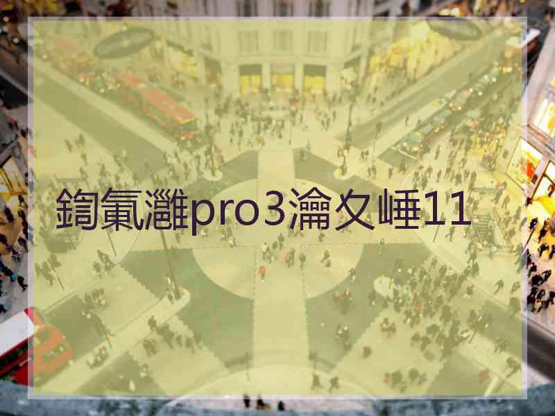 鍧氭灉pro3瀹夊崜11