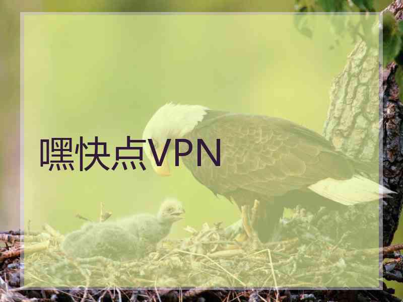 嘿快点VPN