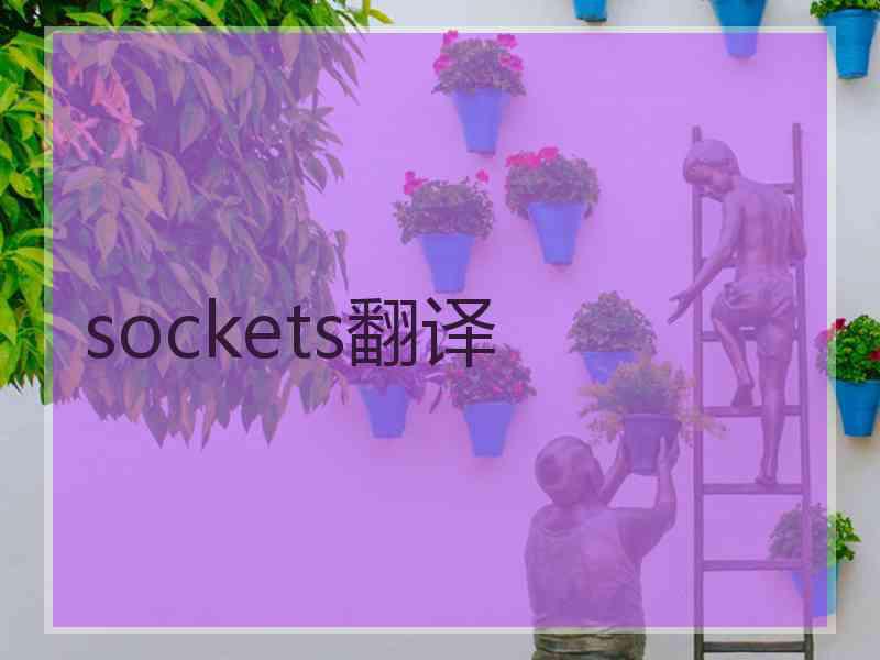 sockets翻译