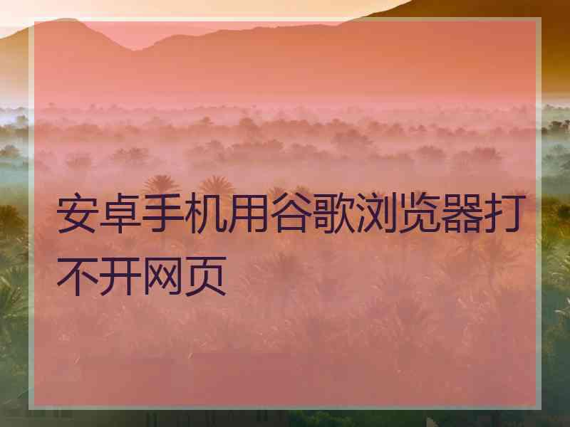 安卓手机用谷歌浏览器打不开网页