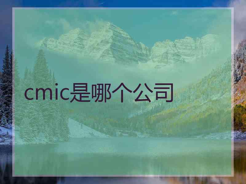 cmic是哪个公司