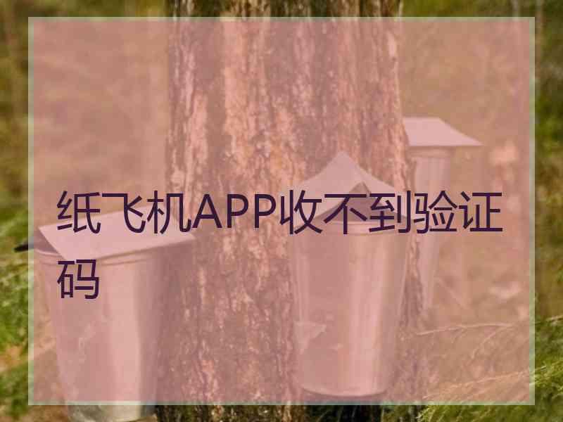 纸飞机APP收不到验证码