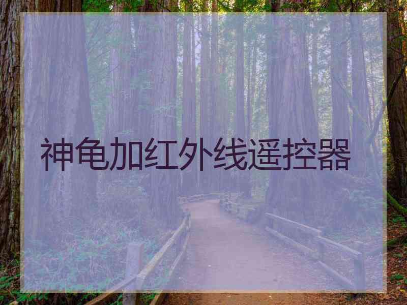 神龟加红外线遥控器