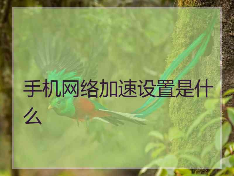 手机网络加速设置是什么