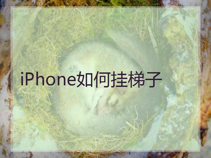 iPhone如何挂梯子