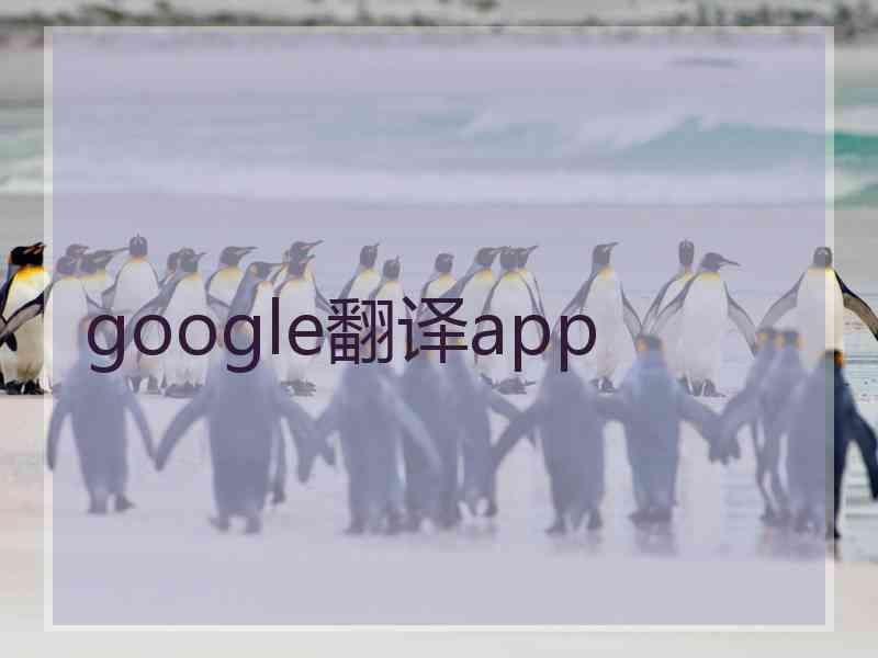 google翻译app