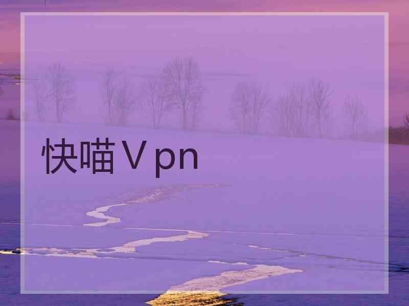 快喵Ⅴpn